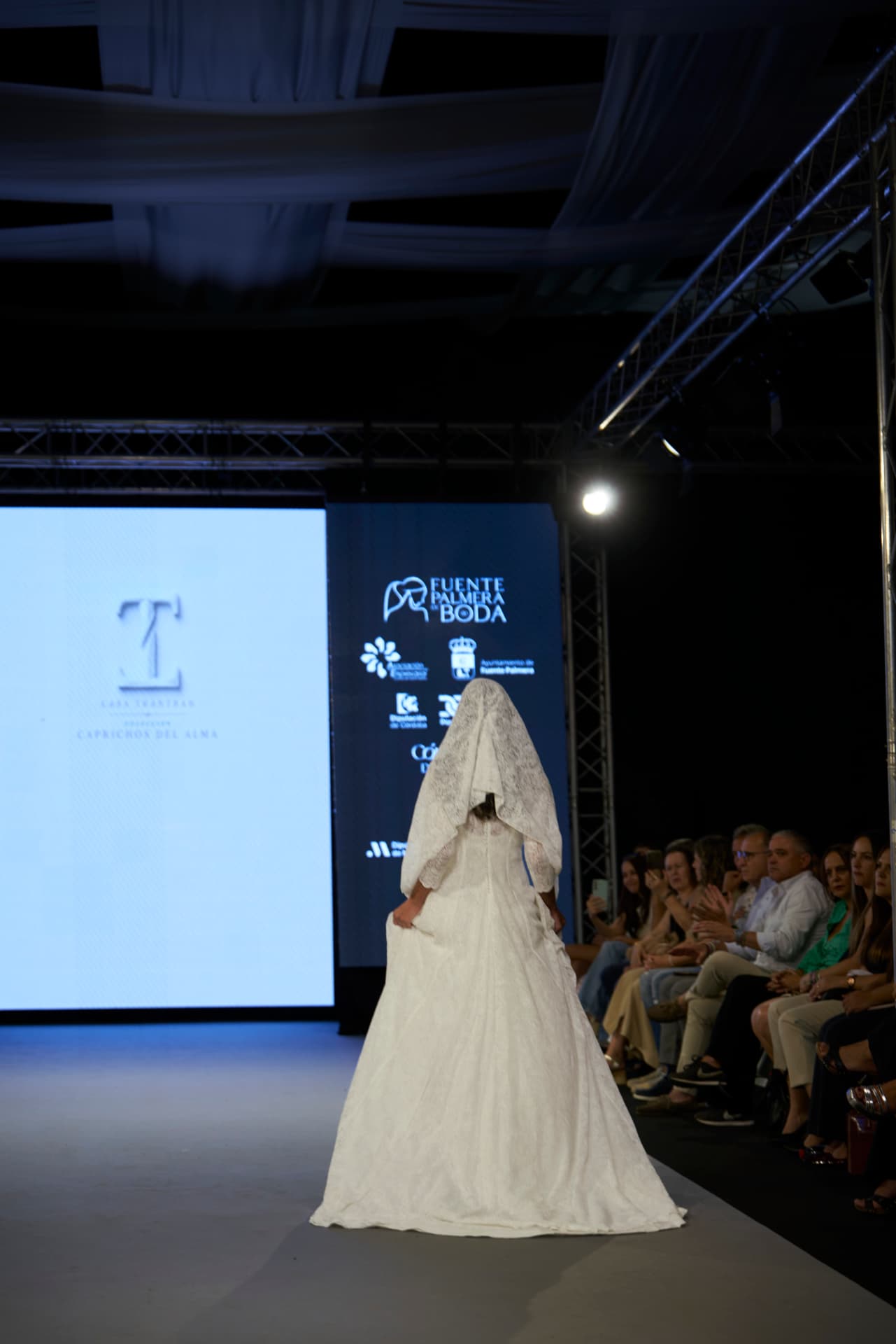 Vestido de novia de encaje con velo, de espaldas